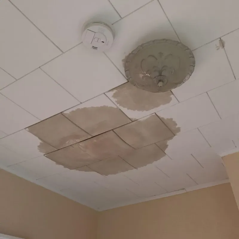 Ceiling Water Damage Repair in Mount Morris, WI