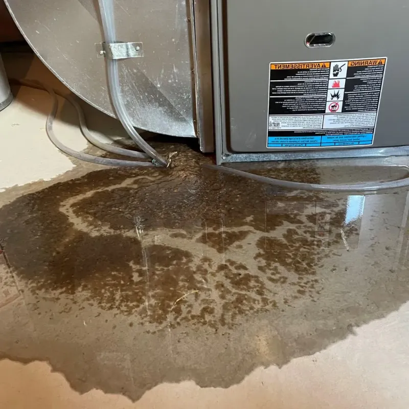 Pipe Burst and Leak Restoration in Mount Morris, WI