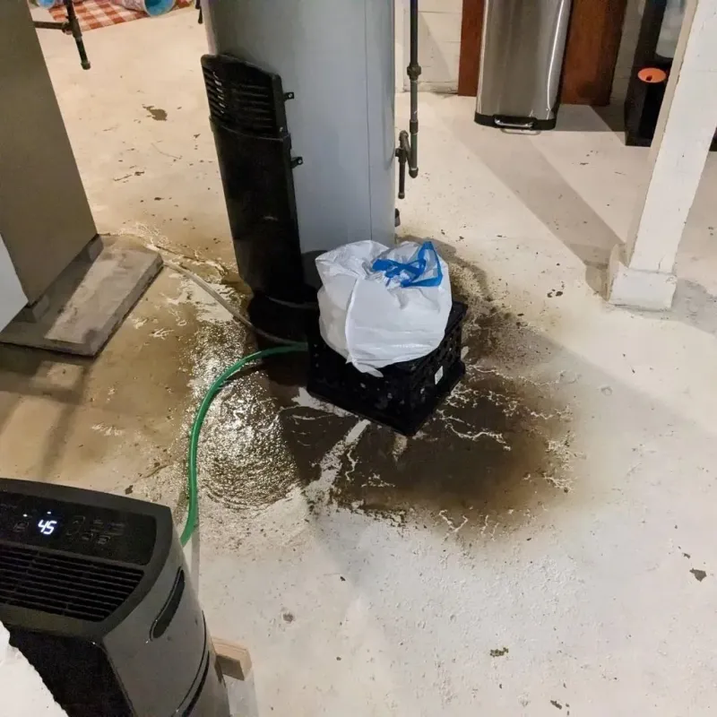 Sewage Backup Cleanup Service in Mount Morris, WI